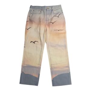 BDG Urban Outfitters Ombre Sunset Cowboy Jeans 32
